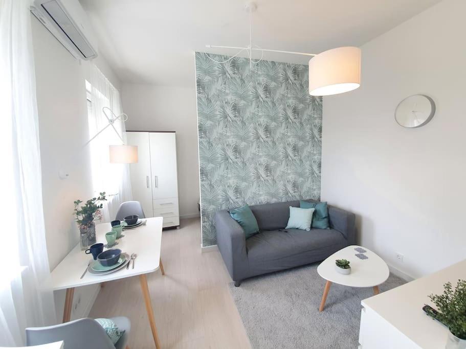 Master Apartment With Air Condition And Separated Rooftop Terrace Budapest Extérieur photo