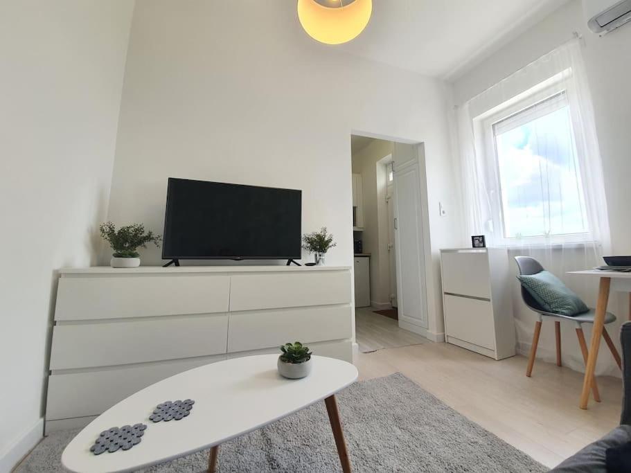 Master Apartment With Air Condition And Separated Rooftop Terrace Budapest Extérieur photo